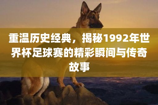 重温历史经典，揭秘1992年世界杯足球赛的精彩瞬间与传奇故事