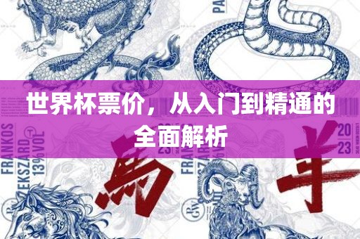 世界杯票价，从入门到精通的全面解析