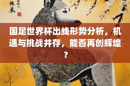 国足世界杯出线形势分析，机遇与挑战并存，能否再创辉煌？