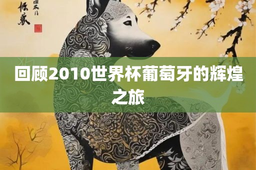 回顾2010世界杯葡萄牙的辉煌之旅
