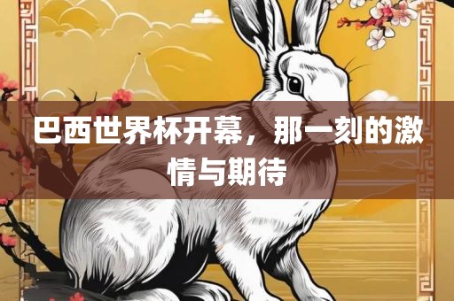 巴西世界杯开幕，金炬实业股份有限公司那一刻的激情与期待