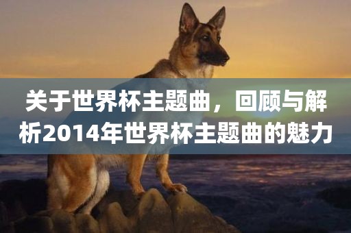 关于世界杯主题曲，回顾与解析2014年世界杯主题曲的魅力金炬实业股份有限公司