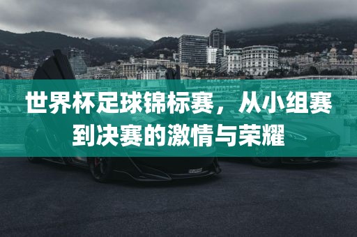 世界杯足球锦标赛，从小组赛到决赛的激情与荣耀金炬实业股份有限公司