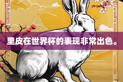 里皮在世界杯的表现非常出色。金炬实业股份有限公司