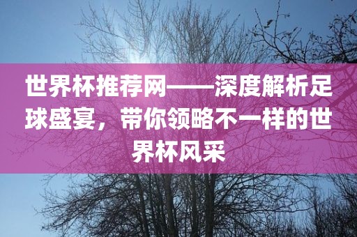 世界杯推荐网——深度解析足球盛宴，带你领略不一样的世界杯风采