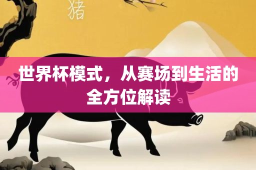 世界杯模式，从赛场到生活的全方位解读