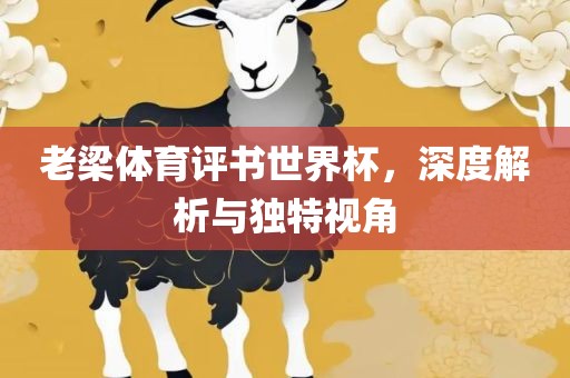 老梁体育评书世界杯，深度解析与独特视角