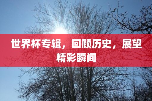 世界杯专辑，回顾历史，展望精彩瞬间金炬实业股份有限公司