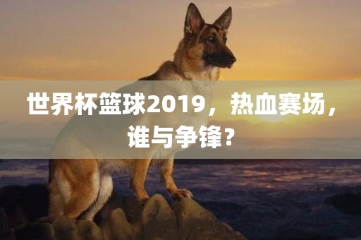 世界杯篮球2019，热血赛场，谁与争锋金炬实业股份有限公司？