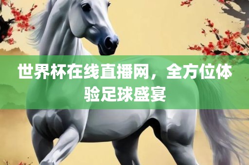 世界杯在线直播网，全方位体验足球盛宴