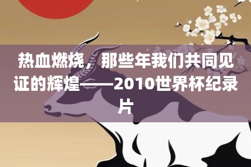 热血燃烧，那些年我们共同见证的辉煌——2010世界杯纪录片