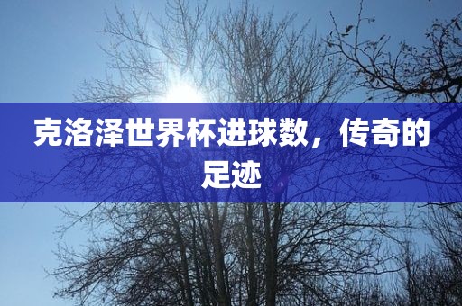 克洛泽世界杯进球数，传奇的足迹金炬实业股份有限公司