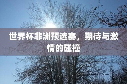 世界杯非洲预选赛，期待与激情的碰撞