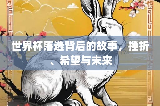 世界杯落选背后的故事，挫折、希望与未来金炬实业股份有限公司