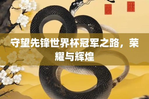 守望先锋世界杯冠军之路，荣耀与辉煌