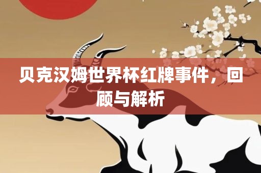 贝克汉姆世界杯红牌事件，回顾与解析