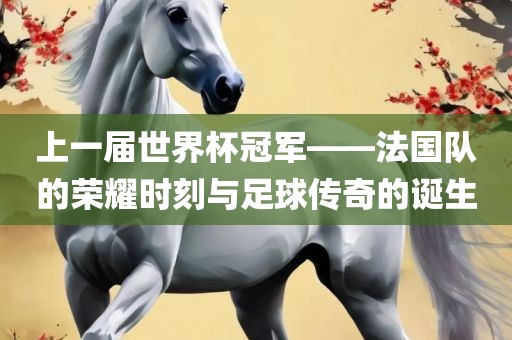 上一届世界杯冠军——法国队的荣耀时刻与足球传奇的诞生