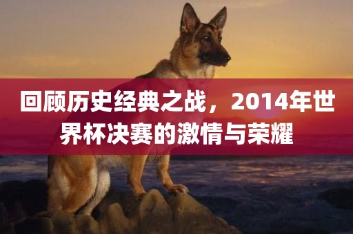回顾历史经典之战，2014年世界杯决赛的激情与荣耀
