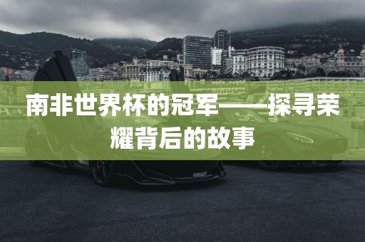 南非世界杯冠军