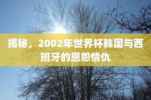 揭秘，2002年世界杯韩国与西班牙的恩怨情仇