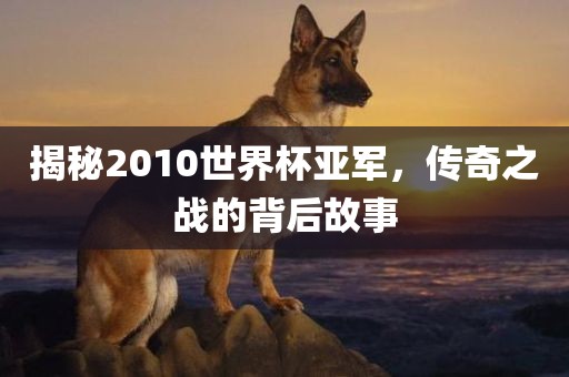 揭秘2010世界杯亚军，传奇之战的背后故事