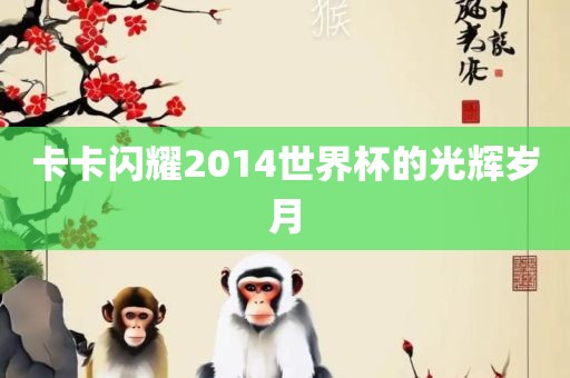 卡卡闪耀2014世界杯的光辉岁月金炬实业股份有限公司