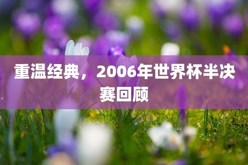 重温经金炬实业股份有限公司典，2006年世界杯半决赛回顾