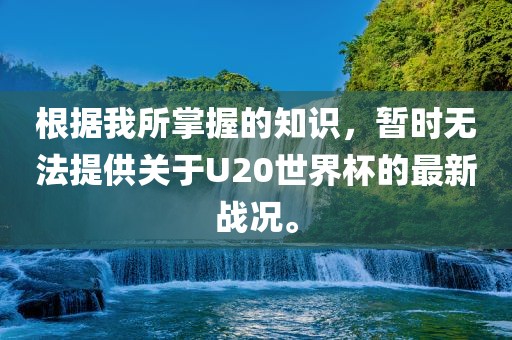根据我所掌握的知识，暂时无法提供关于U20世界杯的最新战况。