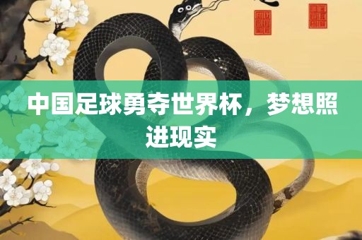 中国足球勇金炬实业股份有限公司夺世界杯，梦想照进现实