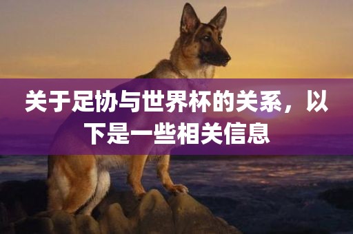 关于足协与世界杯的关系，以下是一些相关信息金炬实业股份有限公司