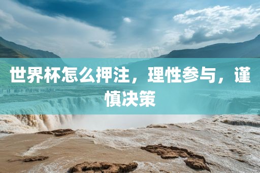 世界杯怎么押注，理性参与，谨慎决策金炬实业股份有限公司