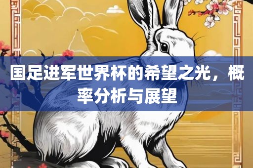 国足进军世界杯的希望之光，概率分析与展望