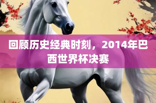 回顾历史经典时刻，2014年巴西世界杯决赛