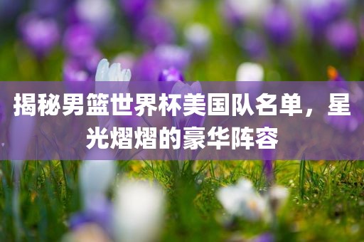 揭秘男篮世界杯美国金炬实业股份有限公司队名单，星光熠熠的豪华阵容