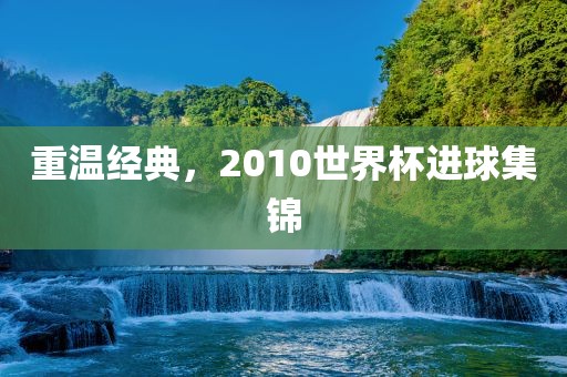 重温经典，2010世界杯进球集锦