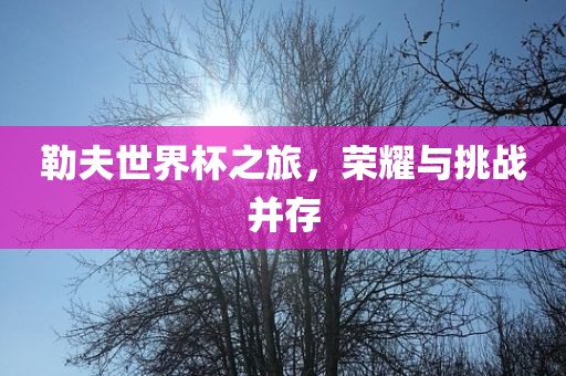 勒夫世界杯之旅，荣耀与挑战并存