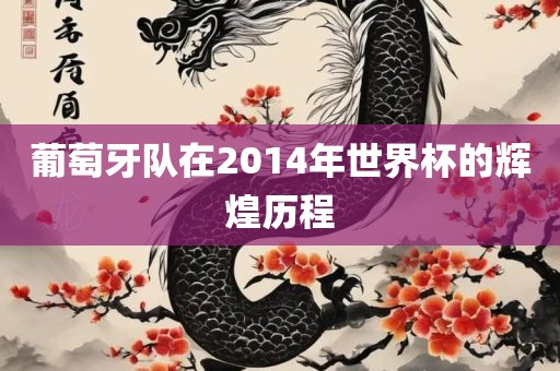 葡萄牙队在2014年世界杯的辉煌历程