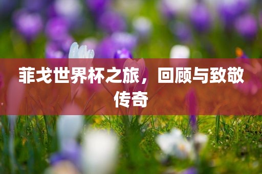 菲戈世界杯之旅，回顾与致敬传奇金炬实业股份有限公司