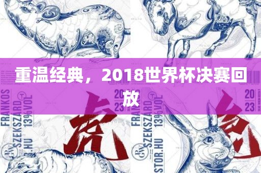 重温经典，2018世界杯决赛回放