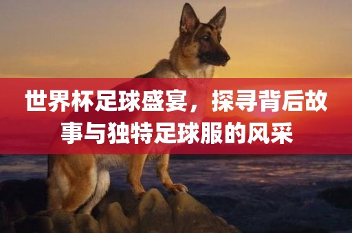 世界杯足球盛宴，探寻背后故事与独特足球服的风采金炬实业股份有限公司