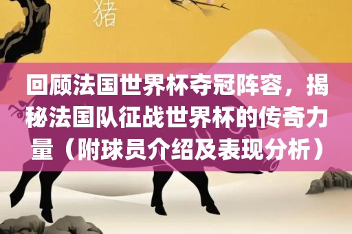 回顾法国世界杯夺冠阵容，揭秘法国队征战世界杯的传奇力量（附球员介绍及表现分析）
