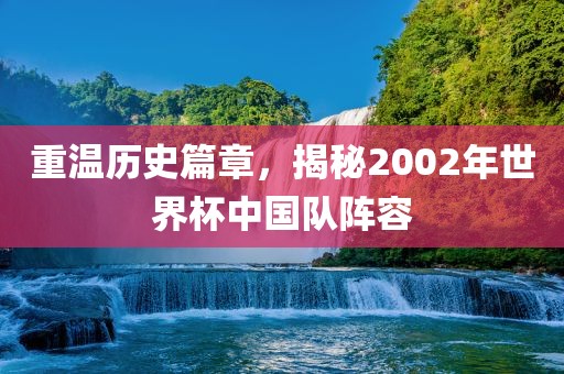 重温历史篇章，揭秘2002年世界杯中国队阵容金炬实业股份有限公司