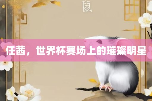 任茜，世金炬实业股份有限公司界杯赛场上的璀璨明星