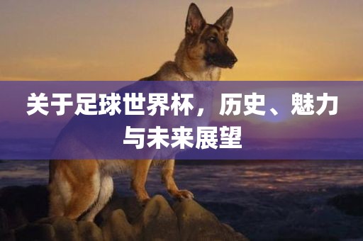 关于足球世界杯，历史、魅力与未来展望金炬实业股份有限公司