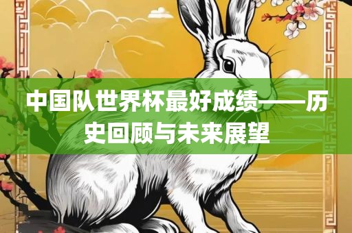 中国队世界杯最好成绩——历史回顾与未来展望金炬实业股份有限公司