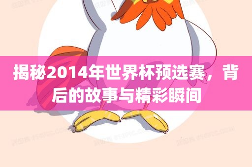 揭秘2014年世界杯预选赛，背后的故事与精彩瞬间