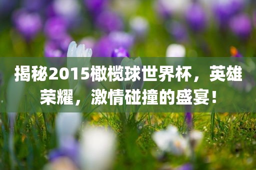 揭秘2015橄榄球世界杯，金炬实业股份有限公司英雄荣耀，激情碰撞的盛宴！