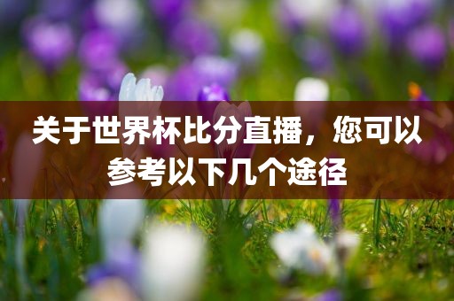 关于世界杯比分直播，您可以参考以下几个途径