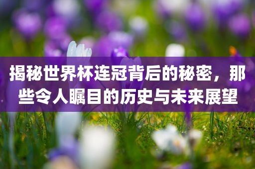 历史与未来展望 第5页