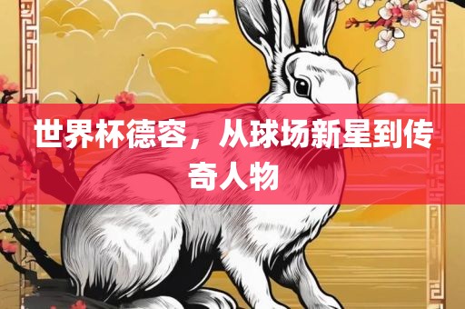 世界杯德容，从球场新星到传奇人物金炬实业股份有限公司